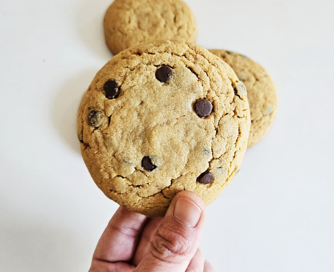 Galletas de crema de cacahuete con chocolate